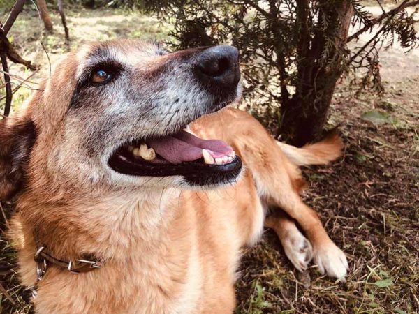 mary-poppins-chilling